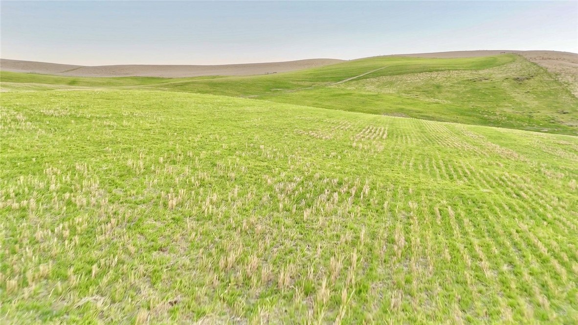 MLS #NS25256733 image #12