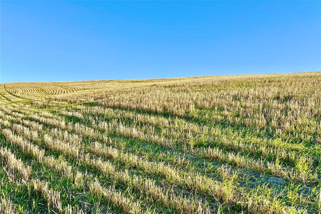 MLS #NS25256733 image #8