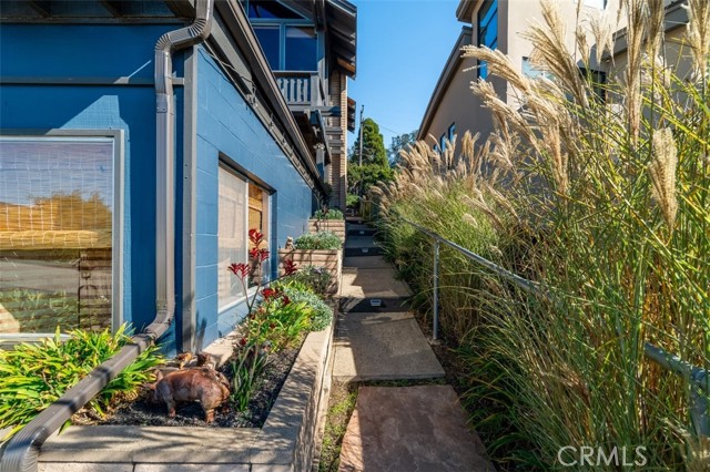 MLS #NS25257006 image #11