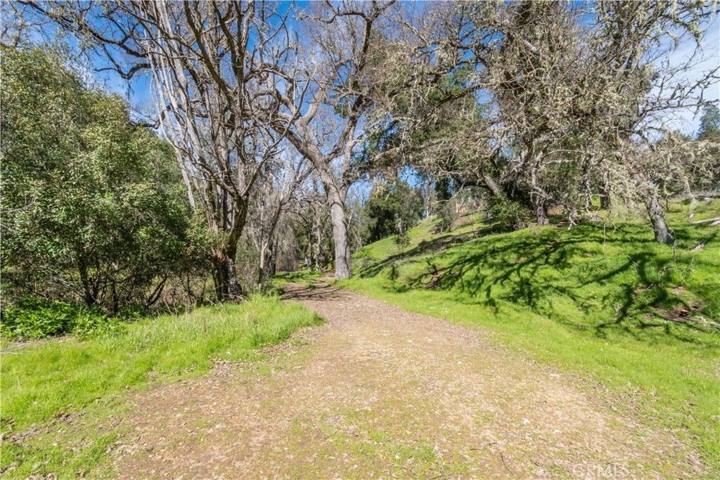 MLS #NS25257365 image #5