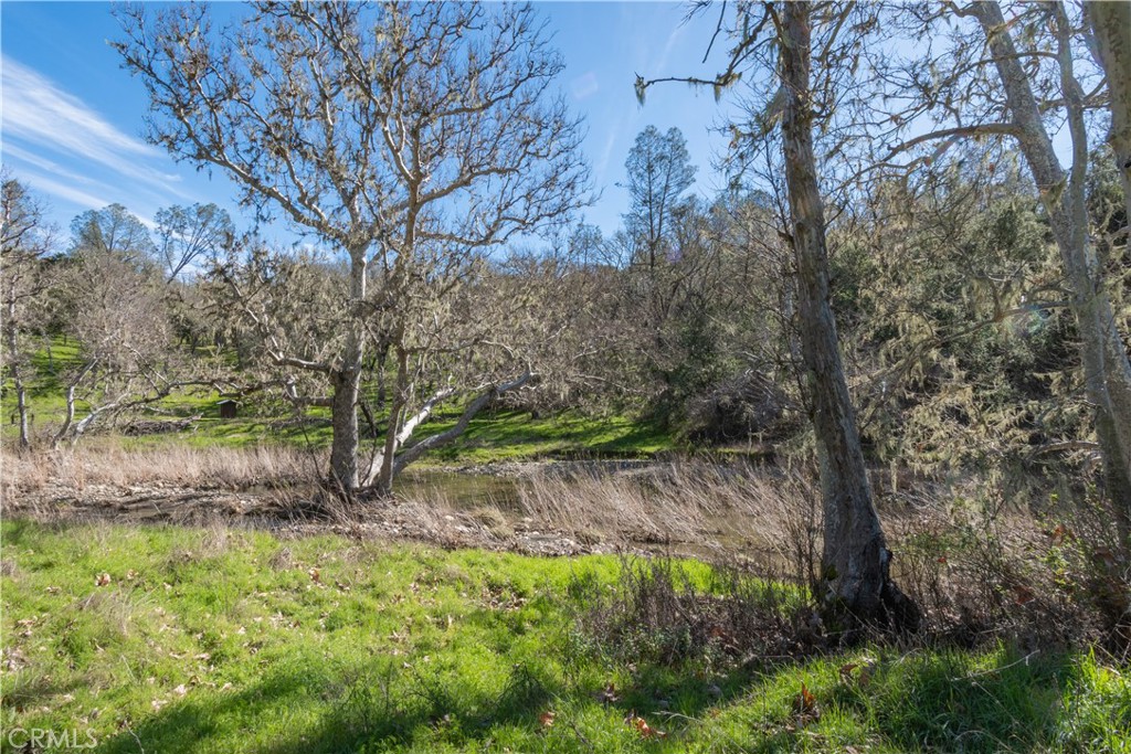 MLS #NS25257365 image #7