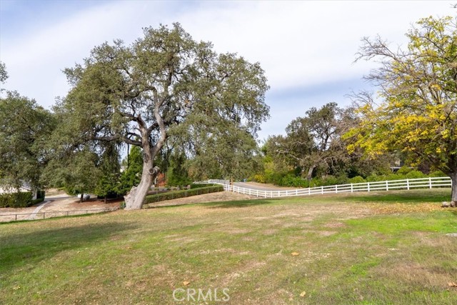 MLS #NS25259869 image #4