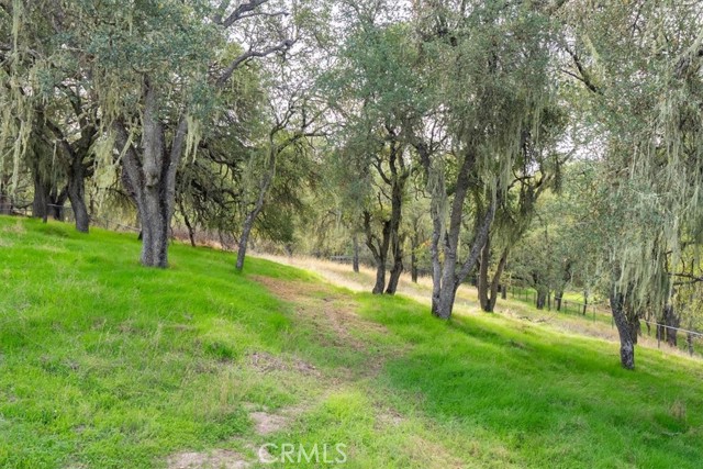 MLS #NS25259869 image #41