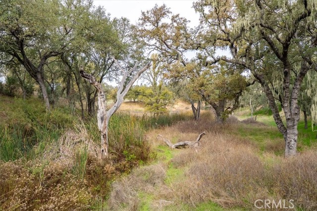 MLS #NS25259869 image #44