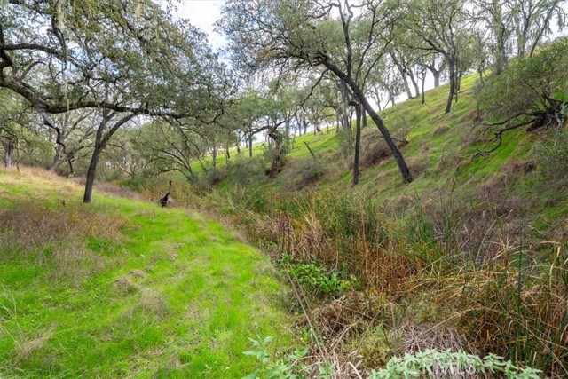 MLS #NS25259869 image #45