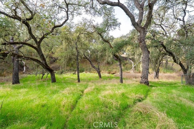 MLS #NS25259869 image #46