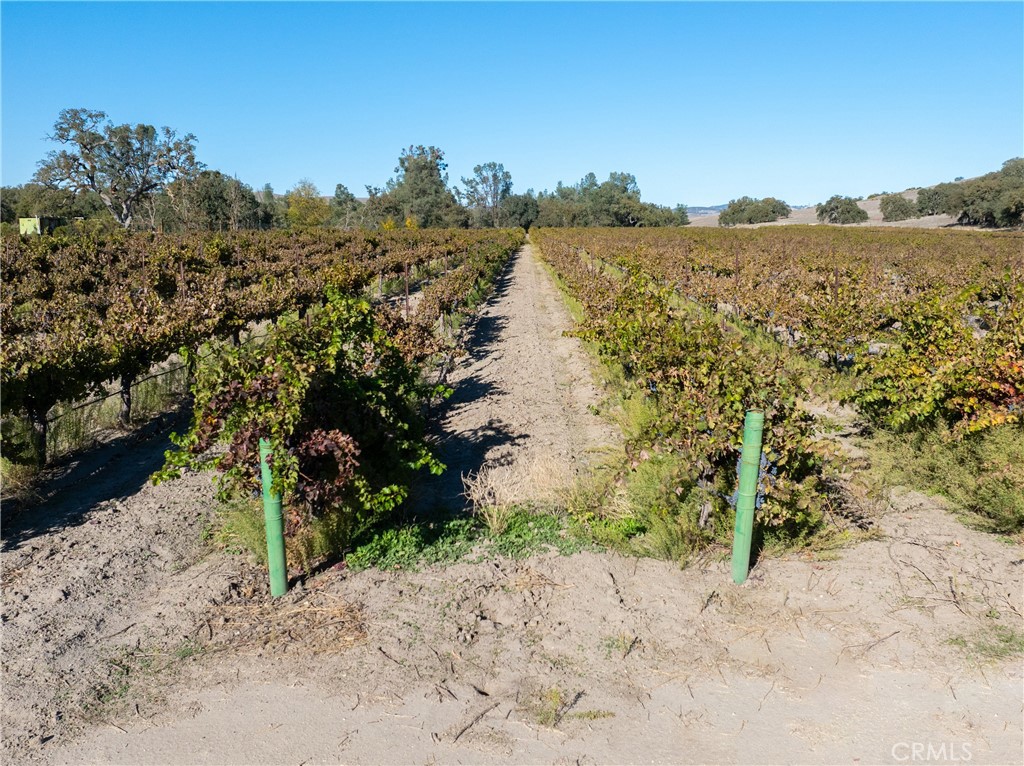 MLS #NS25262417 image #9