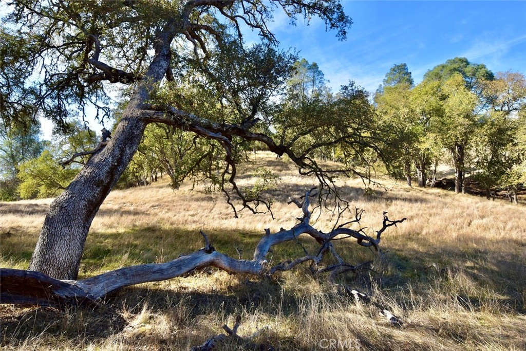 MLS #NS25262616 image #10