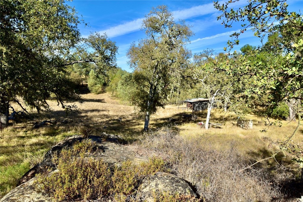 MLS #NS25262616 image #12