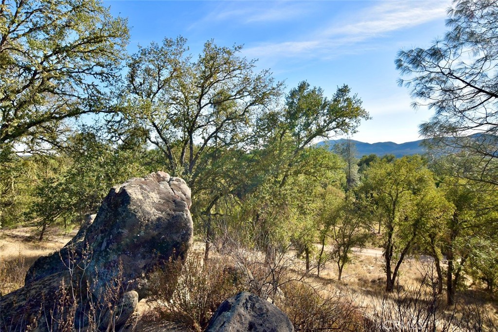 MLS #NS25262616 image #14