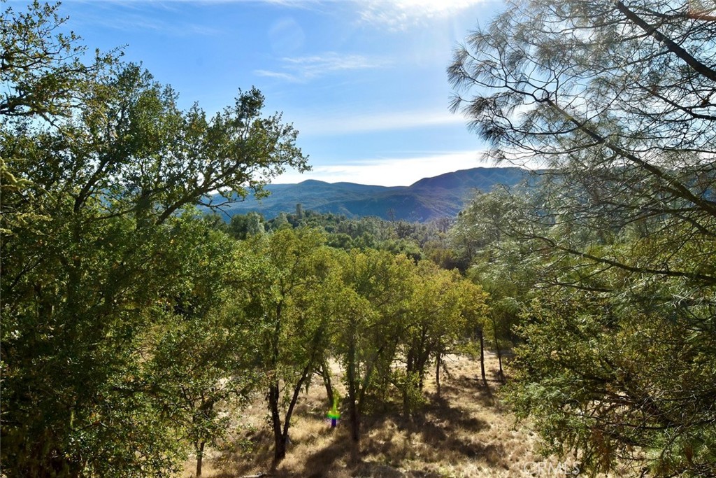 MLS #NS25262616 image #15