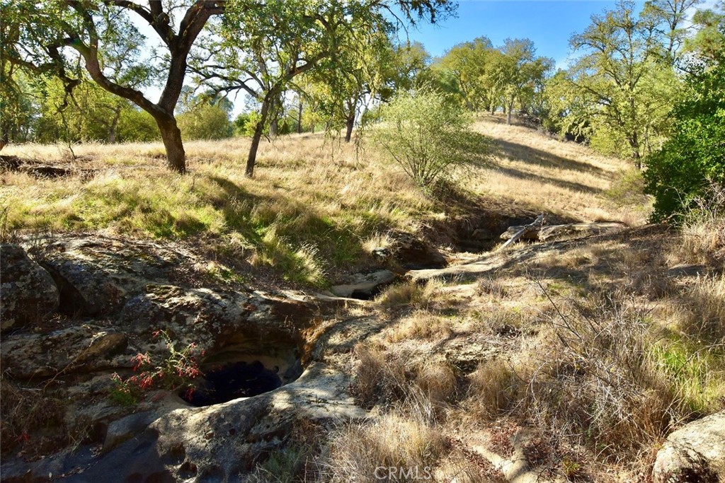 MLS #NS25262616 image #16