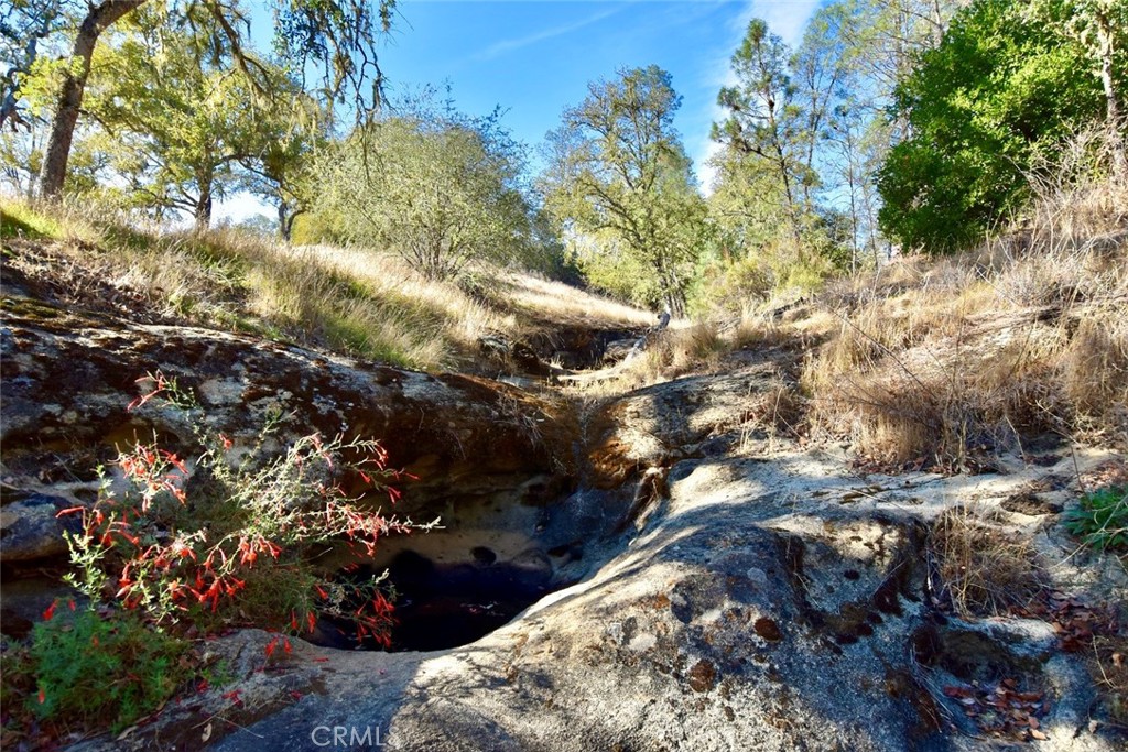 MLS #NS25262616 image #17