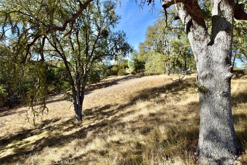 MLS #NS25262616 image #18