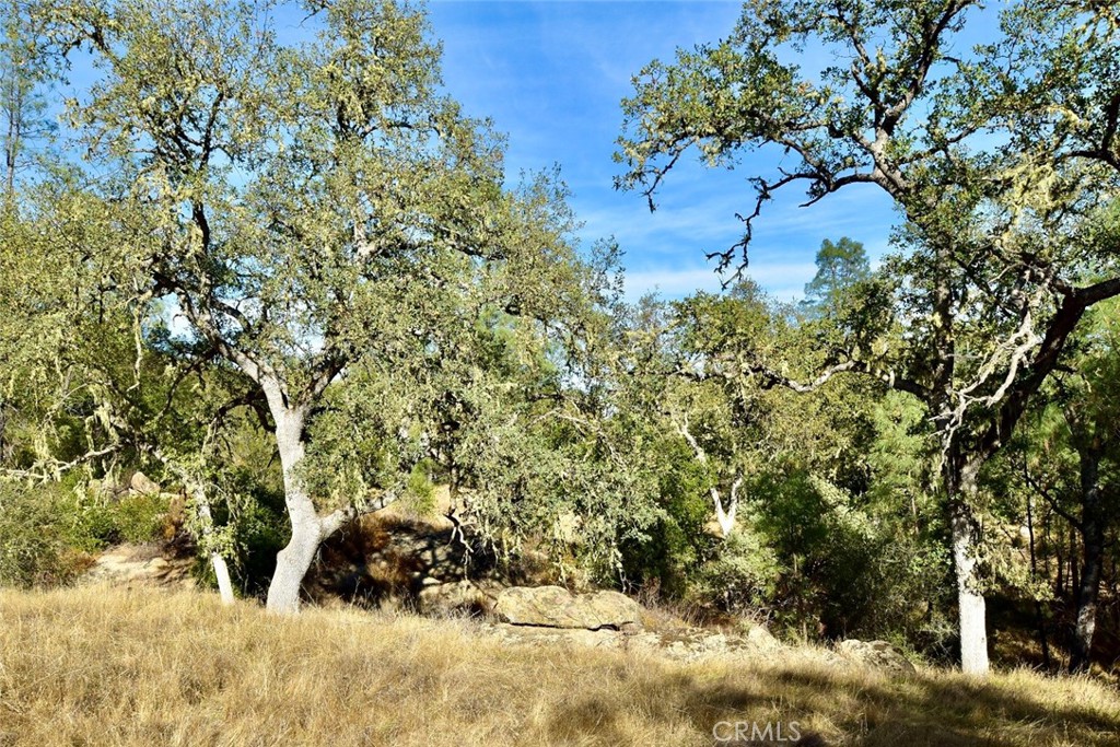 MLS #NS25262616 image #19