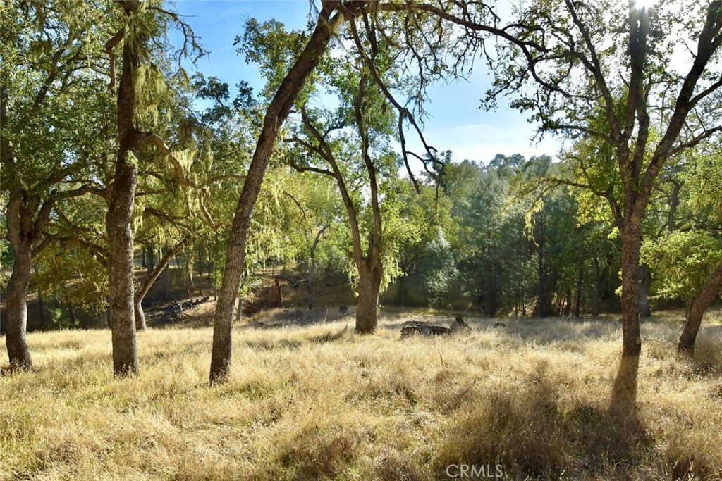 MLS #NS25262616 image #20