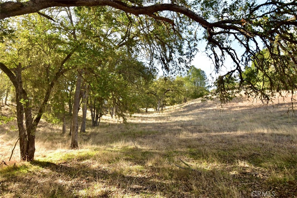 MLS #NS25262616 image #21