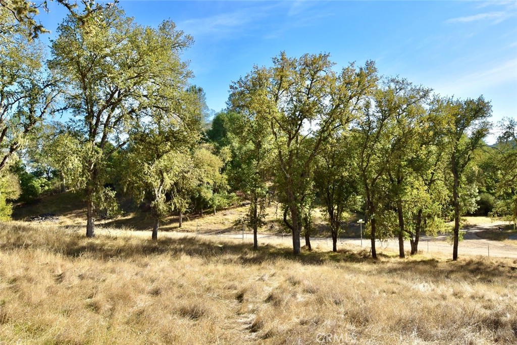 MLS #NS25262616 image #22