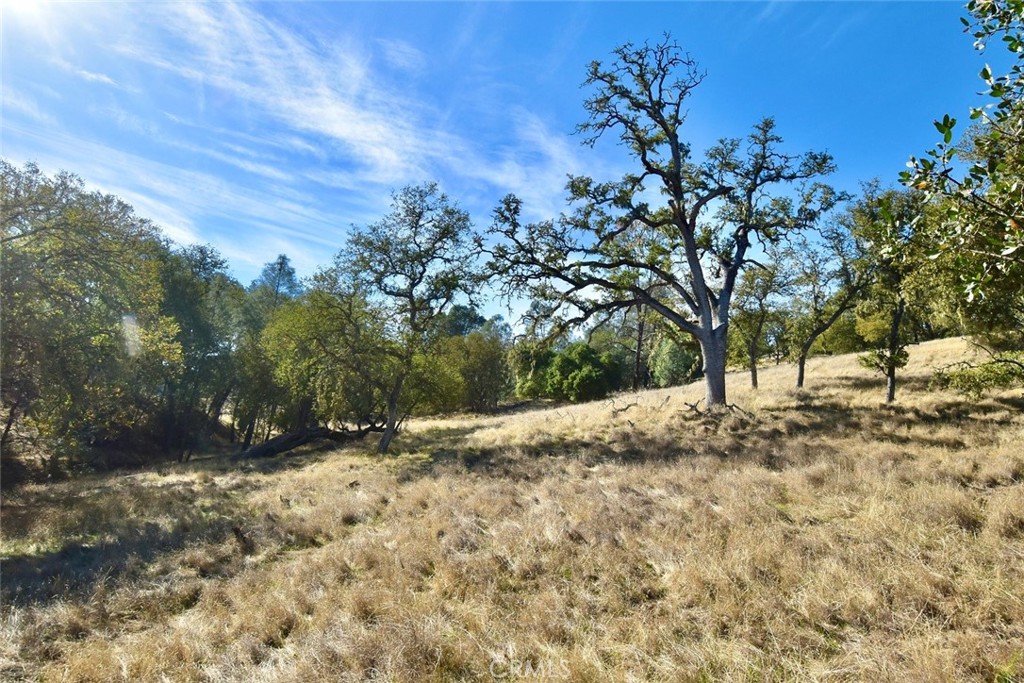 MLS #NS25262616 image #6