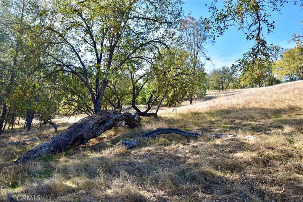 MLS #NS25262616 image #7