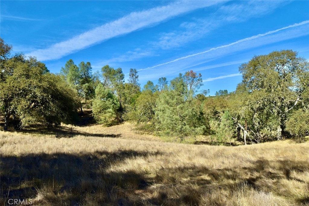 MLS #NS25262616 image #8