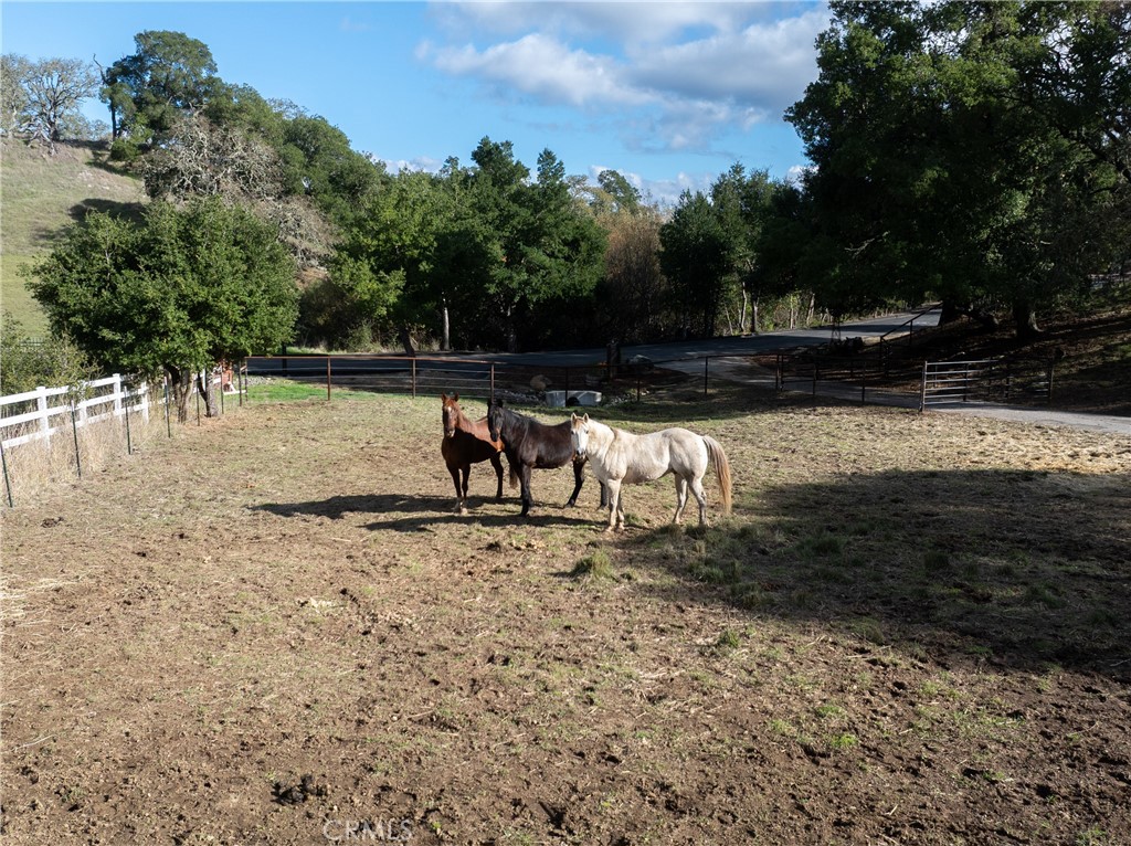 MLS #NS25263192 image #72