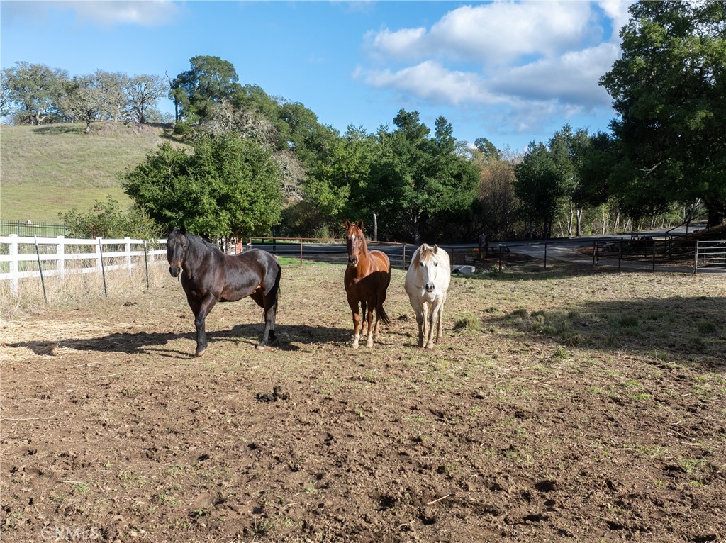 MLS #NS25263192 image #73