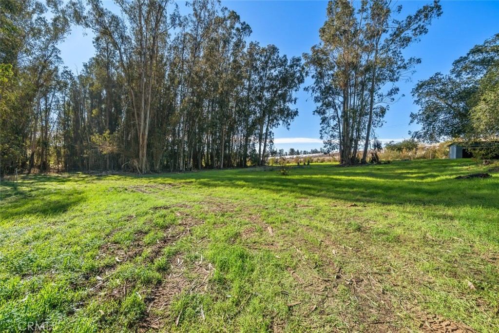 MLS #NS25266486 image #28