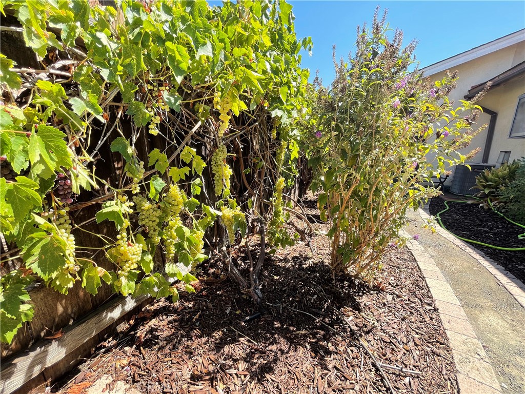 MLS #NS25269713 image #15