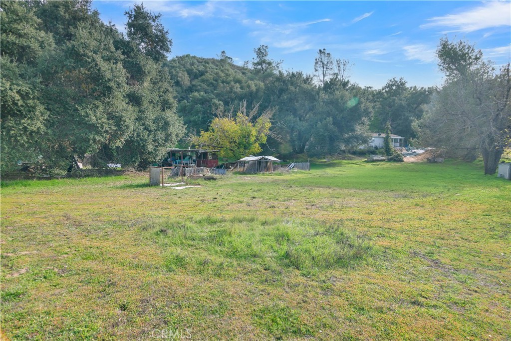 MLS #NS25271558 image #5