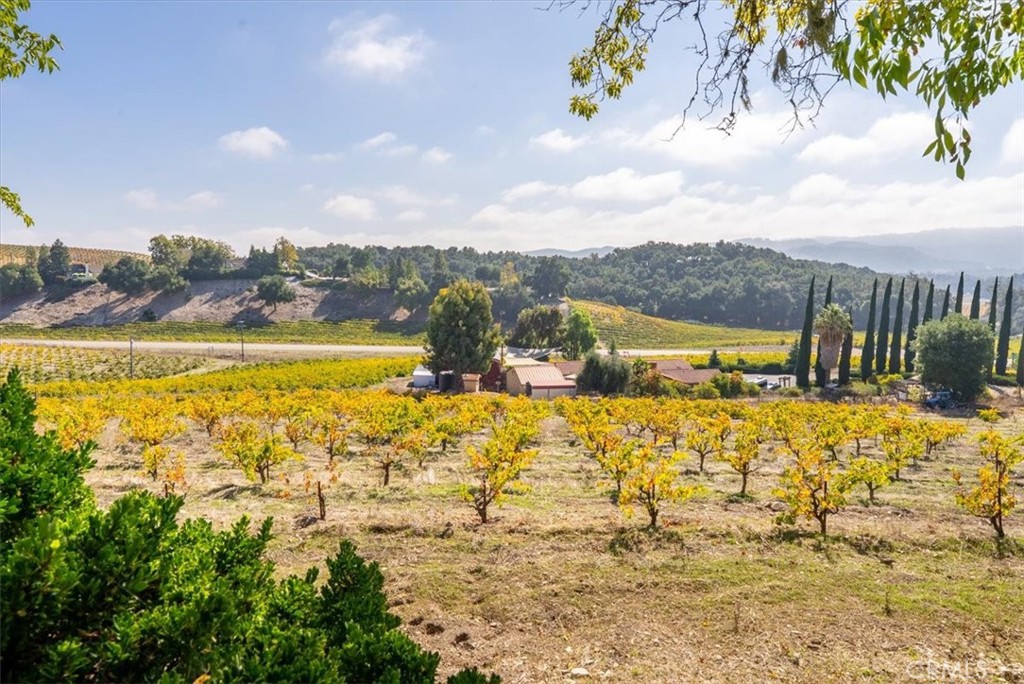 MLS #NS25272502 image #33