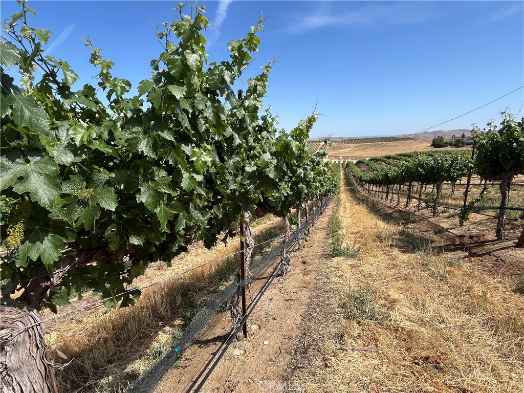 MLS #NS25272780 image #27