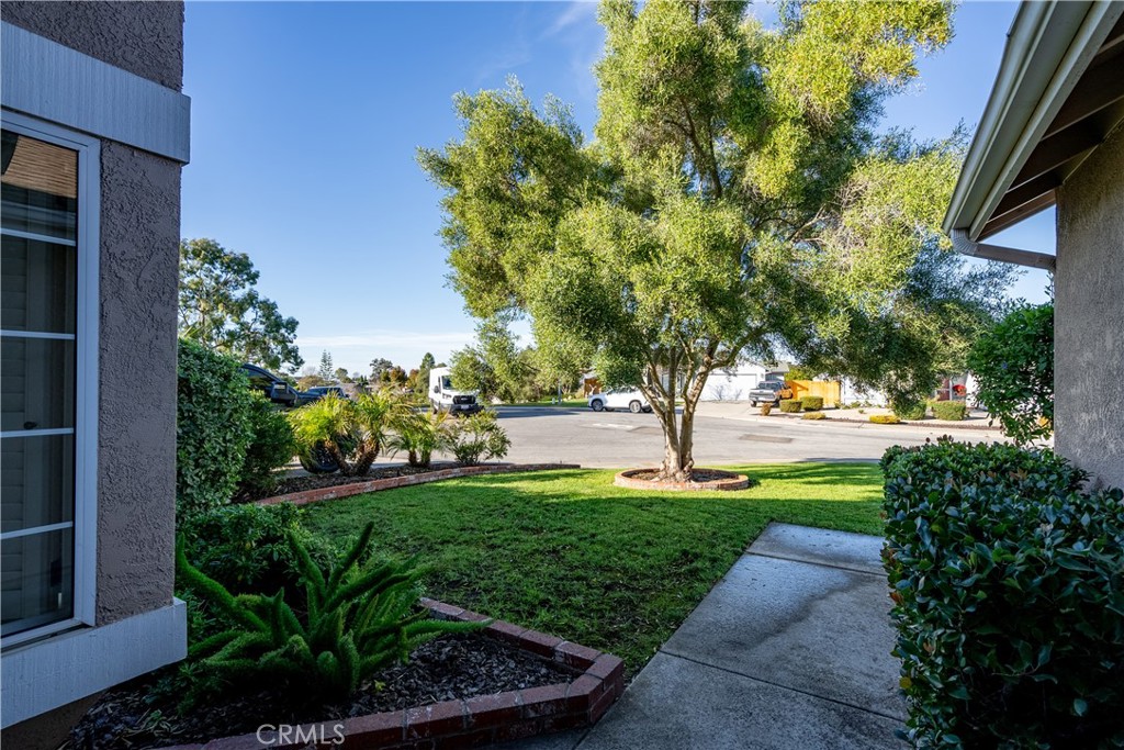 MLS #NS25279088 image #5