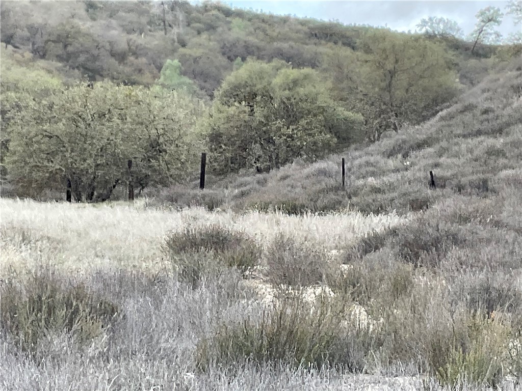 MLS #NS25280279 image #11