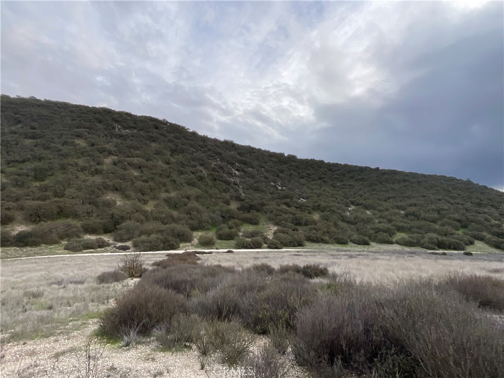 MLS #NS25280279 image #13