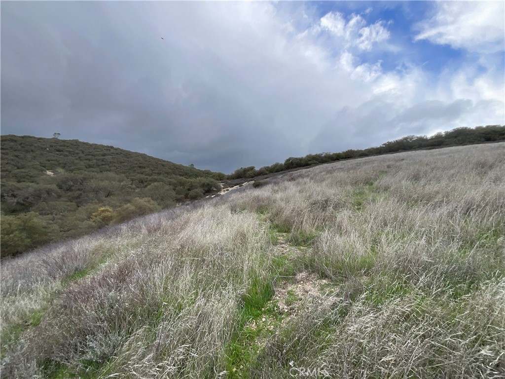 MLS #NS25280279 image #15