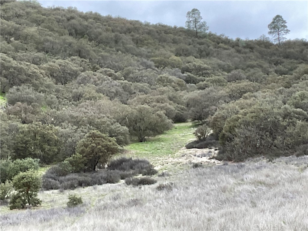 MLS #NS25280279 image #16