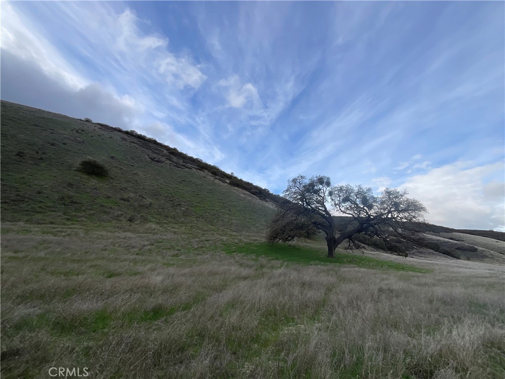 MLS #NS25280279 image #5