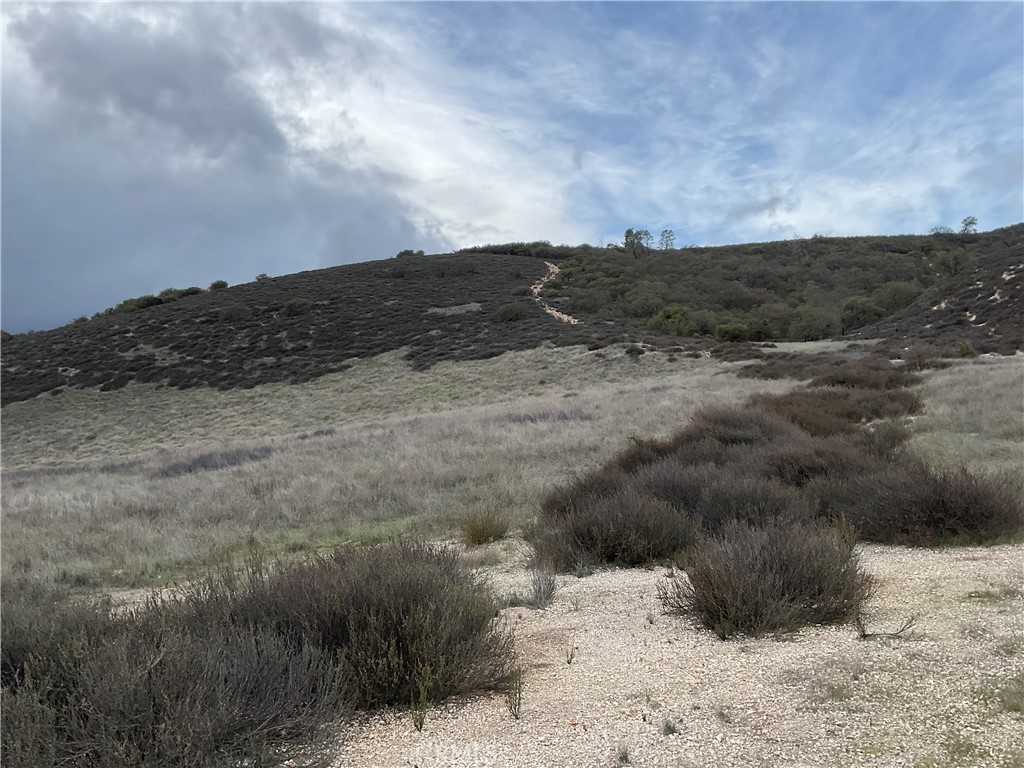 MLS #NS25280279 image #6