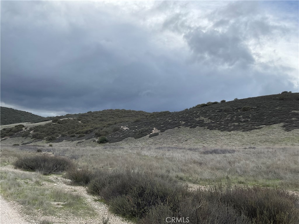 MLS #NS25280279 image #7