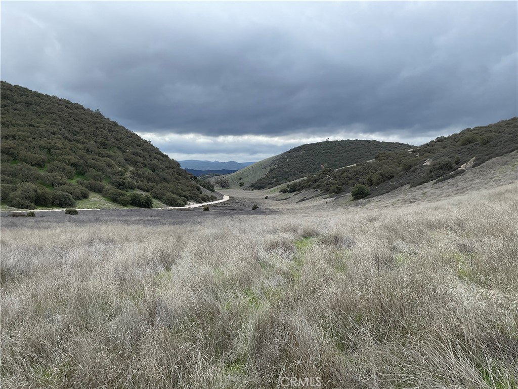 MLS #NS25280279 image #8