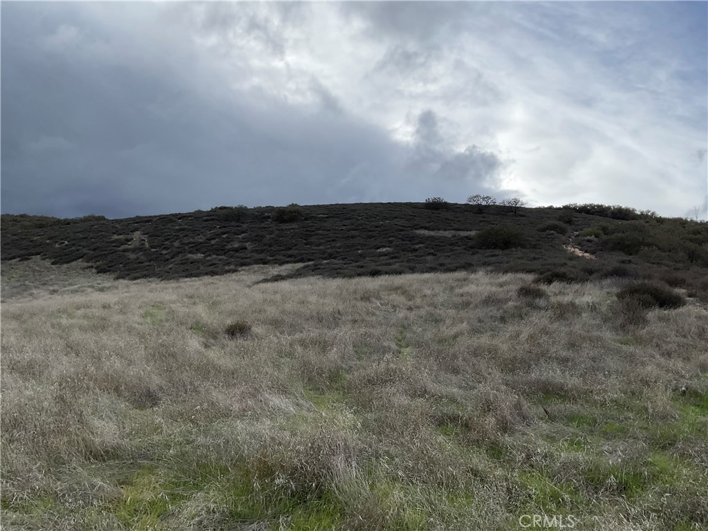 MLS #NS25280279 image #9