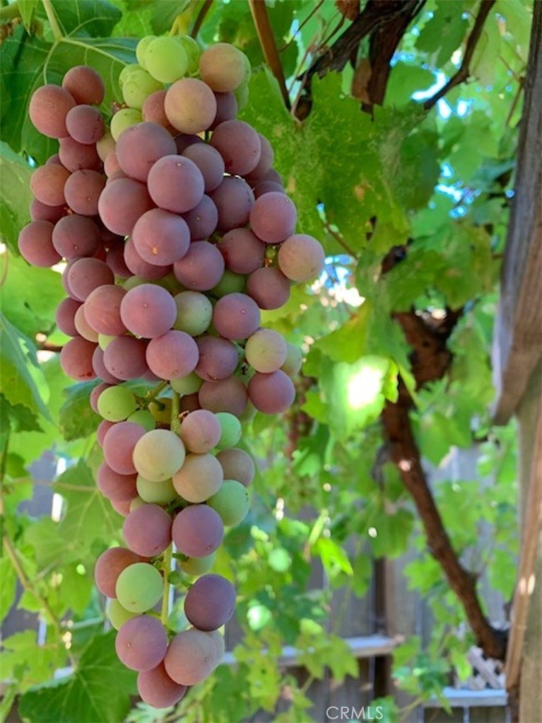 MLS #NS26000407 image #42