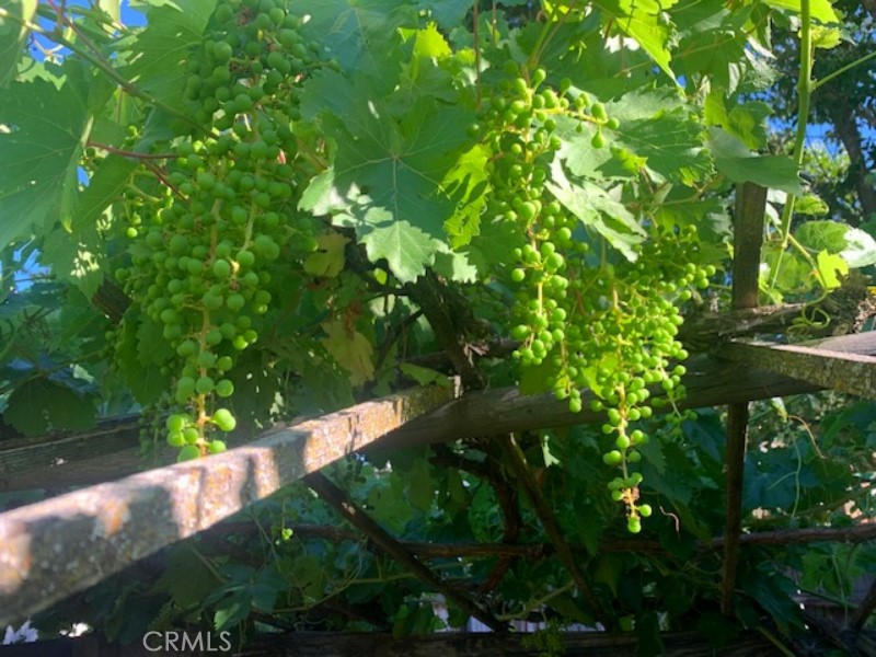 MLS #NS26000407 image #45