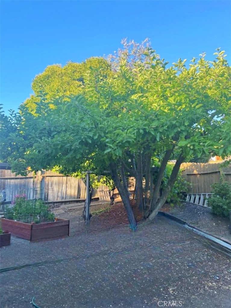 MLS #NS26000407 image #46