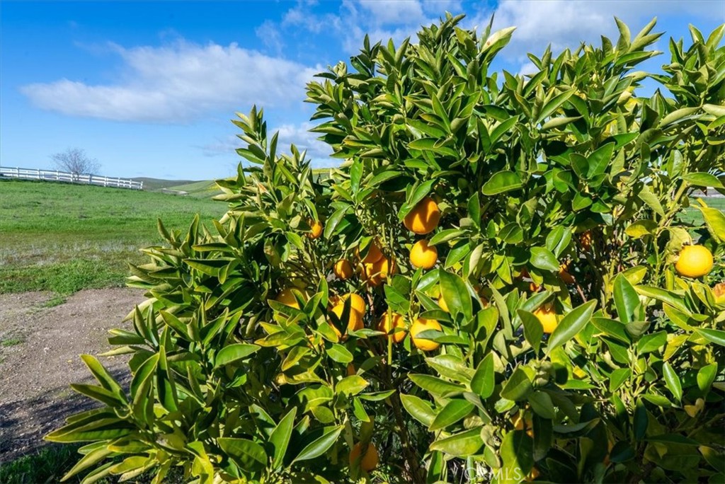 MLS #NS26005827 image #59