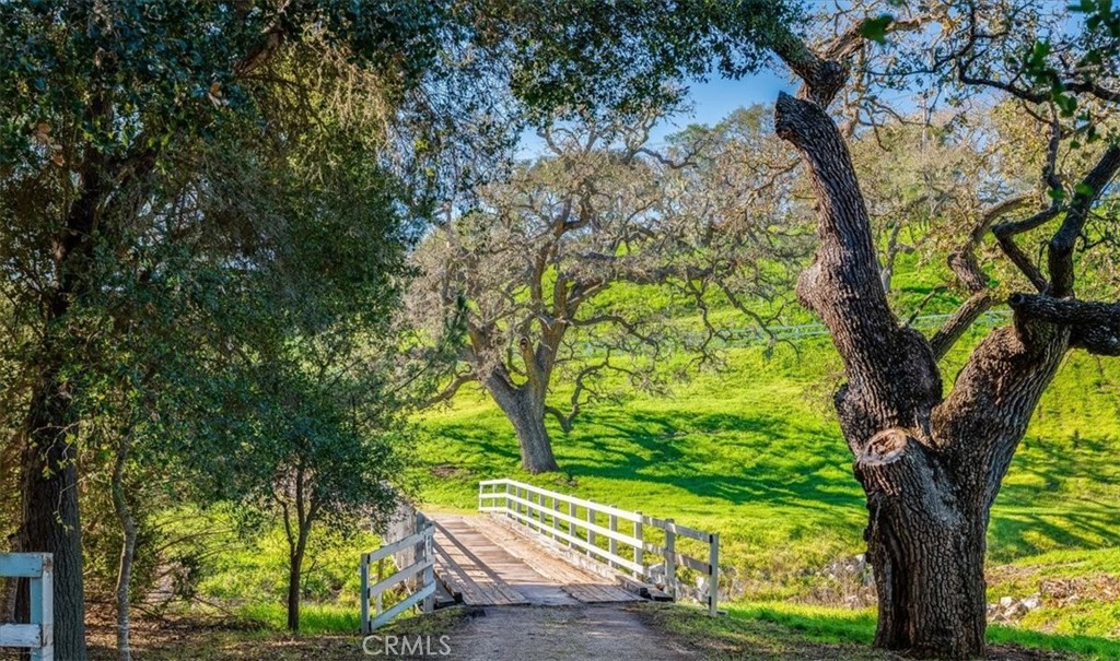 MLS #NS26007047 image #7