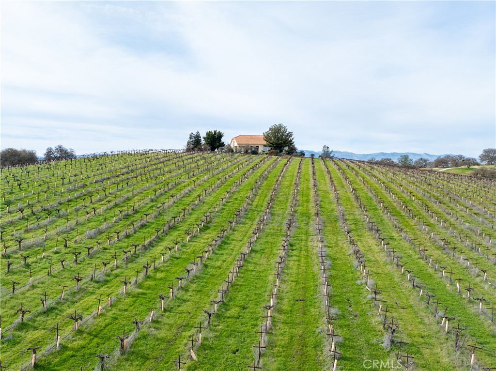 MLS #NS26015437 image #6