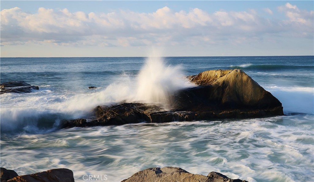 MLS #OC20071877 image #41