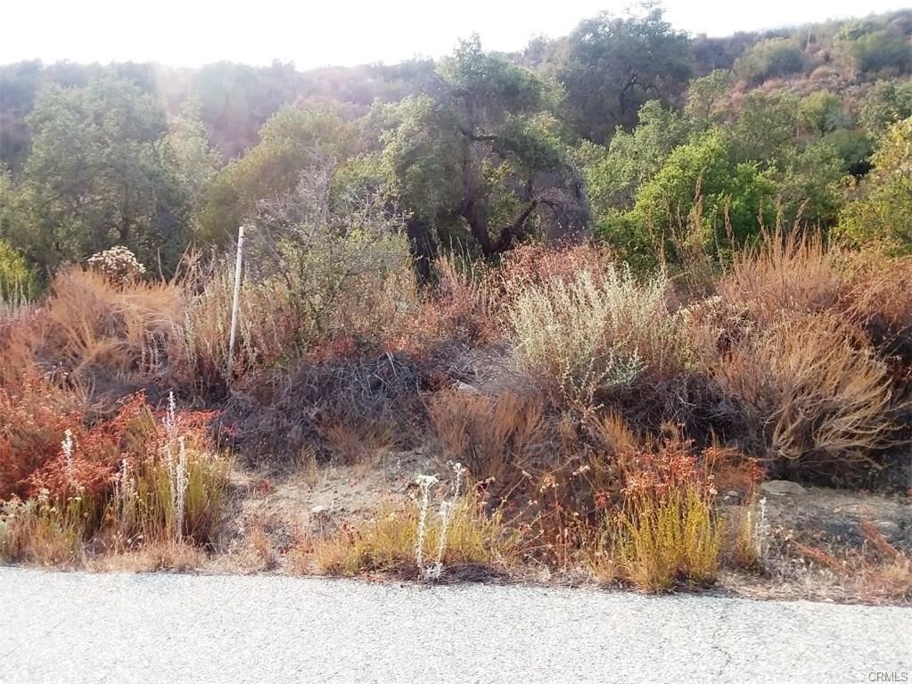 MLS #OC24090015 image #2